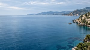 background image 2